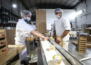 Las exportaciones de lácteos crecen 21% y prometen ser récord este año, si nadie las interrumpe claro