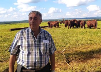 El médico Daniel Angeloni se animó a producir bovinos y ovinos en Misiones para retomar un legado familiar