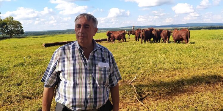 El médico Daniel Angeloni se animó a producir bovinos y ovinos en Misiones para retomar un legado familiar