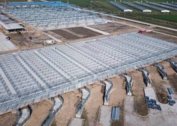 Si no hay imprevistos, el Mercado Agroganadero de Cañuelas comenzaría en agosto con los primeros remates