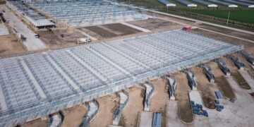 Si no hay imprevistos, el Mercado Agroganadero de Cañuelas comenzaría en agosto con los primeros remates