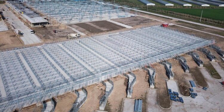 Si no hay imprevistos, el Mercado Agroganadero de Cañuelas comenzaría en agosto con los primeros remates