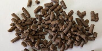 Un pellet de compost entusiasma al INTA por sus resultados en trigo: Comenzará a producirse en Bahía Blanca