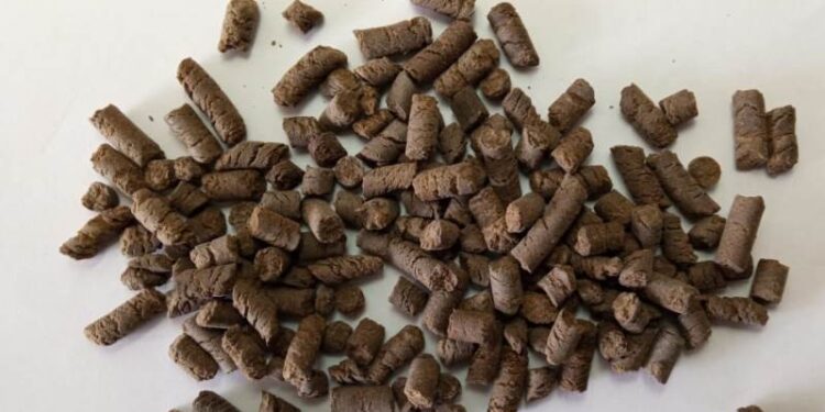 Un pellet de compost entusiasma al INTA por sus resultados en trigo: Comenzará a producirse en Bahía Blanca