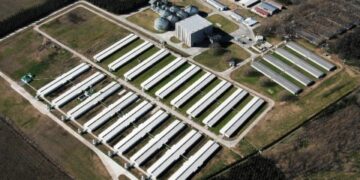 Cabaña Argentina, la principal empresa porcina local, anuncia que invertirá 35 millones de dólares para levantar un nuevo y moderno frigorífico