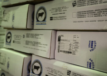 Otro pifie en el reparto de los cupos: Los frigoríficos que recibieron poco volumen para exportar carne no llegan a completar un contenedor por mes y podrían perderlo