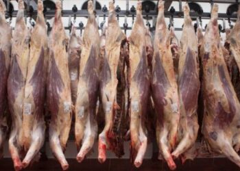 Uruguay experimenta un fuerte aumento en su exportación de carne ovina a China, un negocio que la Argentina por ahora ve pasar