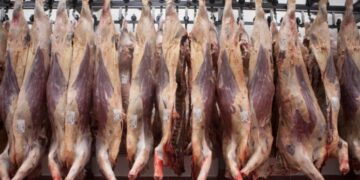Uruguay experimenta un fuerte aumento en su exportación de carne ovina a China, un negocio que la Argentina por ahora ve pasar