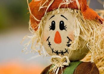 ¿Y qué dice el proyecto de ley de fomento a la agroecología que preparó el gobierno?