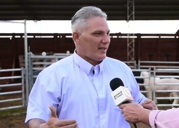 El veterinario Alexis Ferrer escapaba de su querida Venezuela y entró a la Argentina vía Misiones: Allí se quedó, incorporando genética a las ovejas