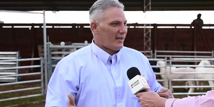 El veterinario Alexis Ferrer escapaba de su querida Venezuela y entró a la Argentina vía Misiones: Allí se quedó, incorporando genética a las ovejas