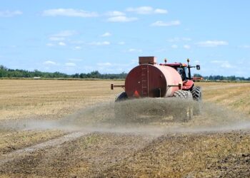 La Argentina es un actor marginal en el mercado global de fertilizantes: Ocupa el puesto 24 en el ránking de consumidores