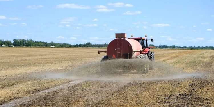 La Argentina es un actor marginal en el mercado global de fertilizantes: Ocupa el puesto 24 en el ránking de consumidores