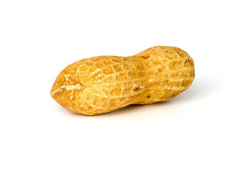 El gobierno anuncia que eliminó retenciones al maní, pero la cadena del maní aclara que ese anuncio es tan chiquito como un maní