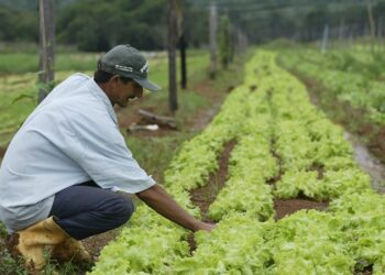 “Todes somos agricultores familiares”: El gobierno flexibiliza el criterio para definir los beneficiarios de sus políticas para pequeños productores