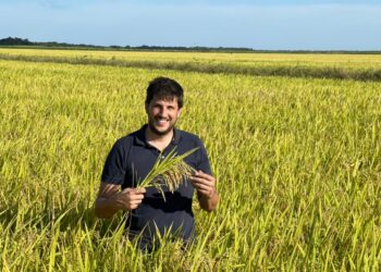 ¿Se puede rotar el cultivo de pacú con el arroz? Martin Meichtry contó los secretos de Teko, que cumplió con ese objetivo en Chaco