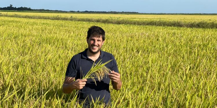 ¿Se puede rotar el cultivo de pacú con el arroz? Martin Meichtry contó los secretos de Teko, que cumplió con ese objetivo en Chaco