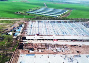 Duros cruces en la Asociación Argentina de Angus por la compra de tres hectáreas dentro del Mercado Ganadero de Cañuelas