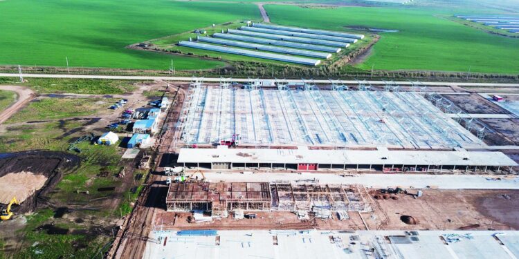 Duros cruces en la Asociación Argentina de Angus por la compra de tres hectáreas dentro del Mercado Ganadero de Cañuelas