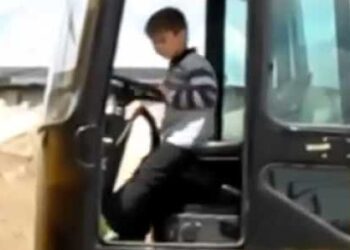 En el día internacional contra el trabajo infantil, al INTA lo mandaron a aprender a trabajar