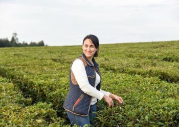 “El precio internacional del té está en baja desde los últimos tres años”, señaló preocupada Carolina Okulovich, de la Cámara del Té Argentino