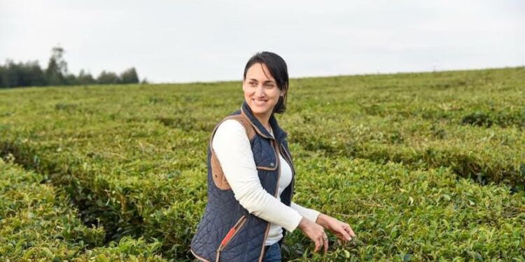 “El precio internacional del té está en baja desde los últimos tres años”, señaló preocupada Carolina Okulovich, de la Cámara del Té Argentino