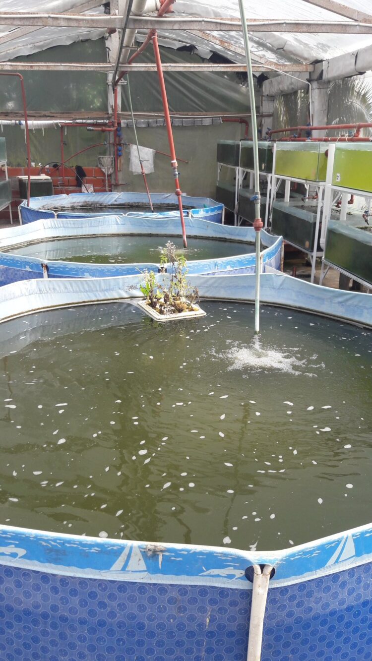 Eduardo Catania es el que quizás más sabe sobre acuicultura: una actividad con todo para crecer y poco explorada en la Argentina