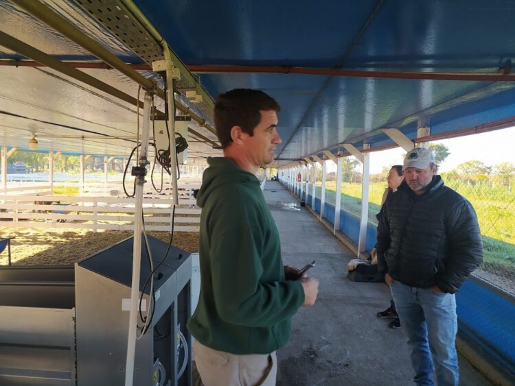 El tambo santafesino La Cabañita montó una moderna guachera donde hay robots que van suministrando la leche justa a los terneros