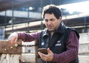 El matarife Sergio Pedace no tiene dudas: “El gobierno armó un monopolio de la exportación y le dejó el negocio al Consorcio ABC”