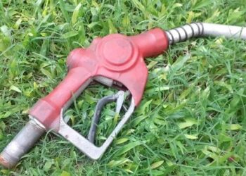 Los productores agrícolas utilizaron este año casi 25 litros de gasoil por hectárea sembrada