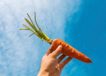 Basterra agita la zanahoria de una mayor apertura exportadora si los precios de la carne se estabilizan