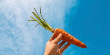 Basterra agita la zanahoria de una mayor apertura exportadora si los precios de la carne se estabilizan