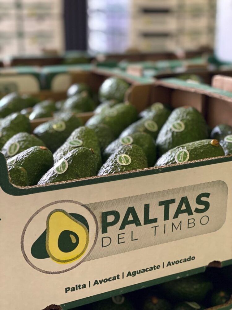 Palta en Tucumán: Georgina Manson explica que para hacer buenos negocios es necesario estar muy atento a la competencia de mercadería importada
