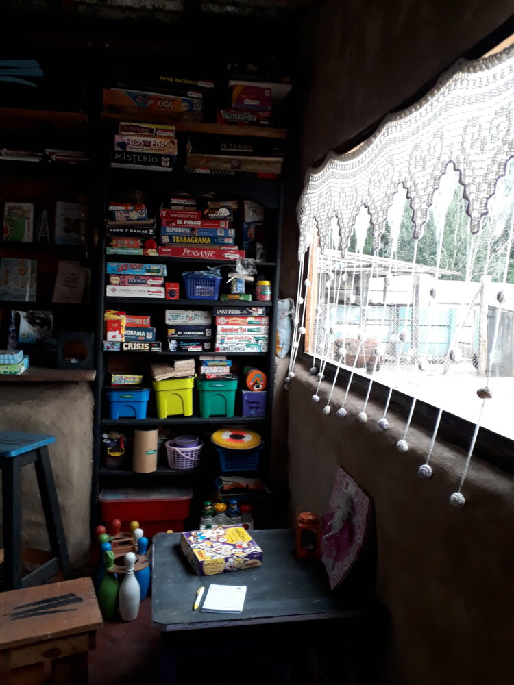 Puilquén, un emprendimiento modelo en turismo rural, sueña poder dejar atrás esta pandemia: “Justo cuando se estaba empezando a mover un poco, se cerró todo de nuevo”