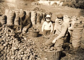 Los Miguelez pasaron de reparar los viejos costales de yute a fabricar todo tipo de bolsas para el agro