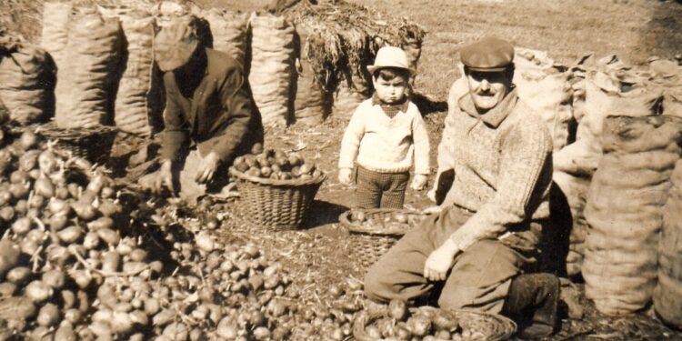 Los Miguelez pasaron de reparar los viejos costales de yute a fabricar todo tipo de bolsas para el agro