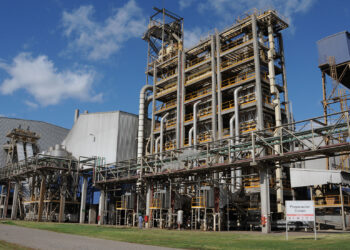 En el primer semestre del año la liquidación de agrodivisas alcanzó un récord histórico de 16.600 millones de dólares