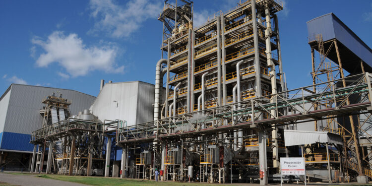 En el primer semestre del año la liquidación de agrodivisas alcanzó un récord histórico de 16.600 millones de dólares