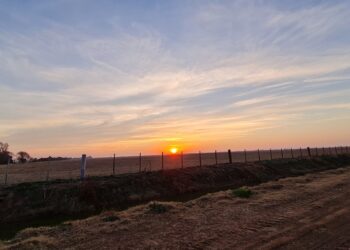 Esta semana se viene una nueva ola polar con lluvias en el norte de la región pampeana