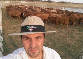 Efecto rebote: El analista Andrés Costamagna anticipa que por el cepo cárnico “en algunos meses volveremos a tener un salto de precios importante”