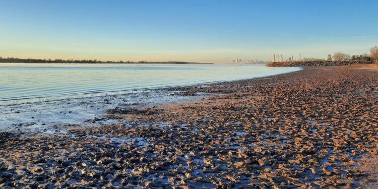 Este año es necesario “quemar los libros” para entender cómo funciona el mercado de maíz argentino