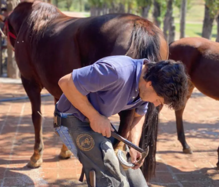 Como reivindicación de un viejo oficio, se realiza la primera Semana del Herrador Argentino