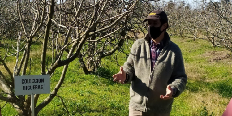 El agrónomo Orlando Boragno realiza un silencioso trabajo para mantener viva la fruticultura en el norte de la provincia de Buenos Aires