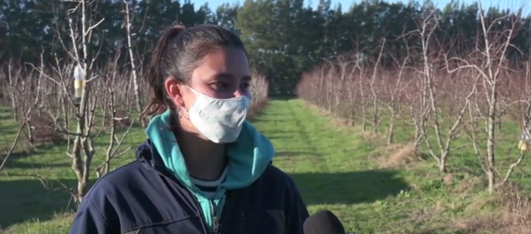Aylin estudia cómo bajar la carga de agroquímicos en plantaciones de duraznos, para que puedan convivir con la ciudad