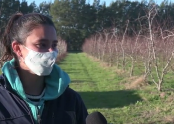 Aylin estudia cómo bajar la carga de agroquímicos en plantaciones de duraznos, para que puedan convivir con la ciudad