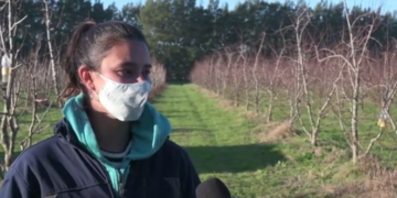 Aylin estudia cómo bajar la carga de agroquímicos en plantaciones de duraznos, para que puedan convivir con la ciudad