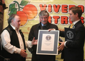 El día en que un vivero de Tucumán ingresó al Libro Guiness por haber reunido la mayor cantidad de plantines de limón en todo el mundo