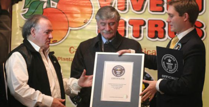 El día en que un vivero de Tucumán ingresó al Libro Guiness por haber reunido la mayor cantidad de plantines de limón en todo el mundo