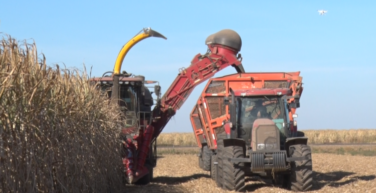 El grupo Budeguer desarrolló un equipo para cosechar y picar los “despuntes” de la caña de azúcar: Se logra así un alimento para el ganado o biomasa para las calderas