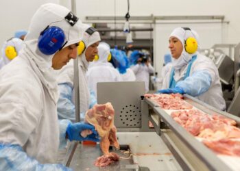 El gobierno argentino incorporó a la carne aviar en el régimen de  “Licencias No Automáticas de Importación”